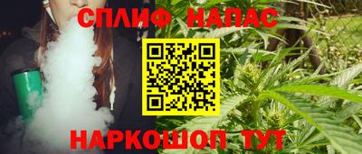 apvp Моздок