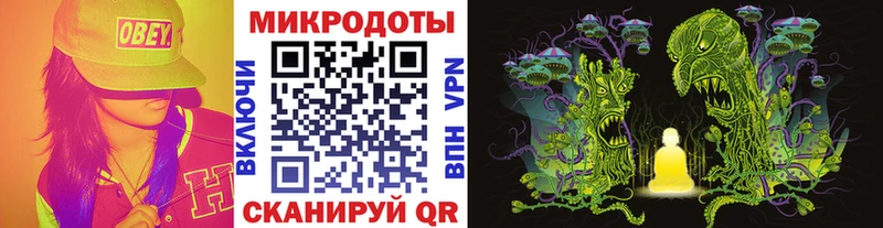 наркота  Сунжа  Галлюциногенные грибы Psilocybine cubensis 