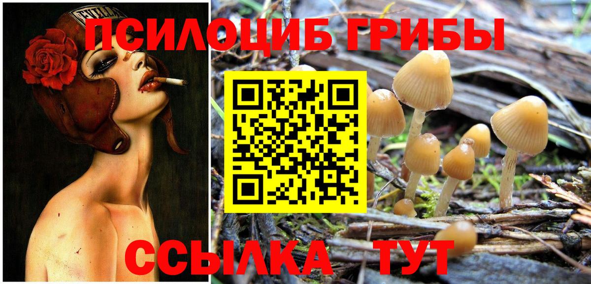 цена   Вход с VPN  Сунжа  Псилоцибиновые грибы Magic Shrooms  Псилоцибиновые грибы Psilocybine cubensis 