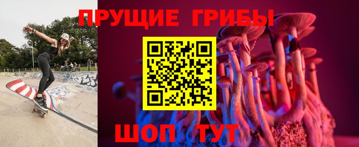 Псилоцибиновые грибы MAGIC MUSHROOMS Сунжа