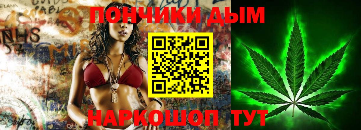 Каннабис планчик Сунжа